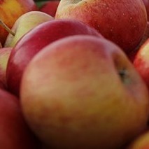 Ernährung » 32,2 Liter Saft pro Kopf Ernährung » 32,2 Liter Saft pro Kopf