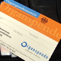 Gesundheit » Tag der Organspende Gesundheit » Tag der Organspende